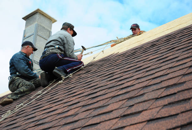Best Commercial Roofing Services  in Shenandoah Farms, VA